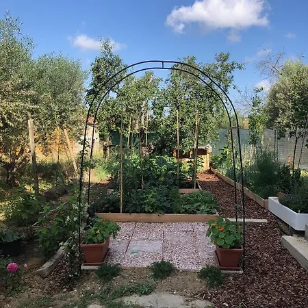 Bed & Breakfast Casa Di Calma Petrignano Del Lago