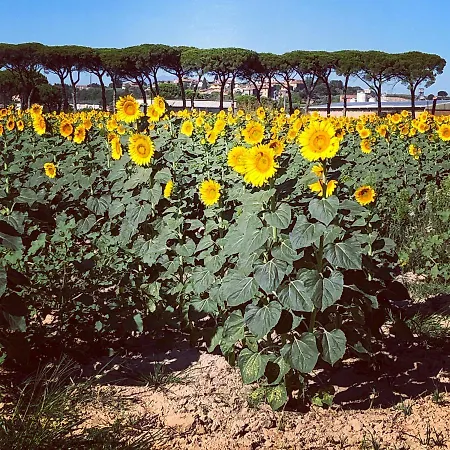 Bed and breakfast Casa Di Calma